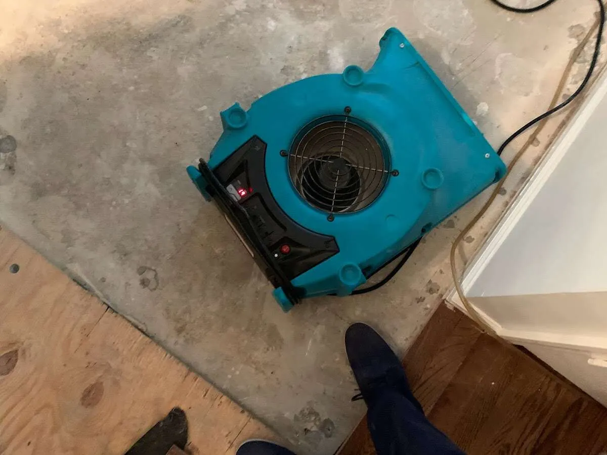 Air mover drying subfloor during Leak Detection & Repair in Whitehouse